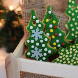 How to make Christmas Cookies to hang on the Tree